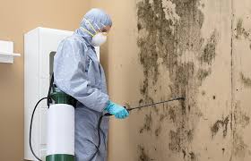 Best Mold Documentation for Insurance Claims  in Manchester, OH